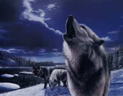 howlingwolves.jpg